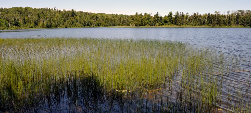 Chickenbone Lake, Isle Royale National Park