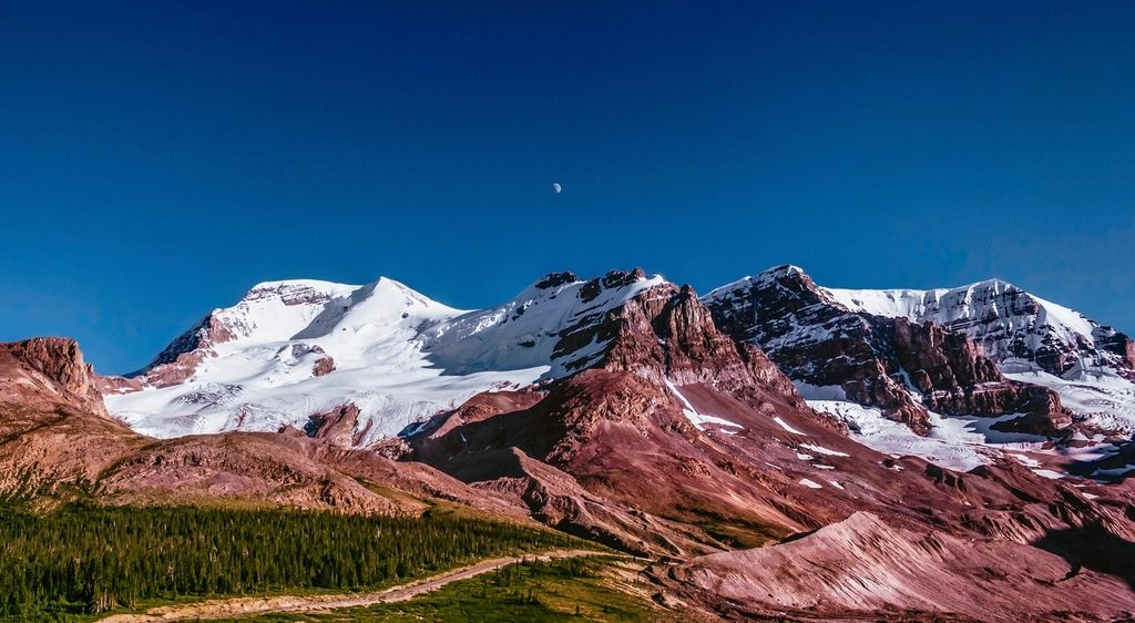 Mount Athabasca, Jasper National Park