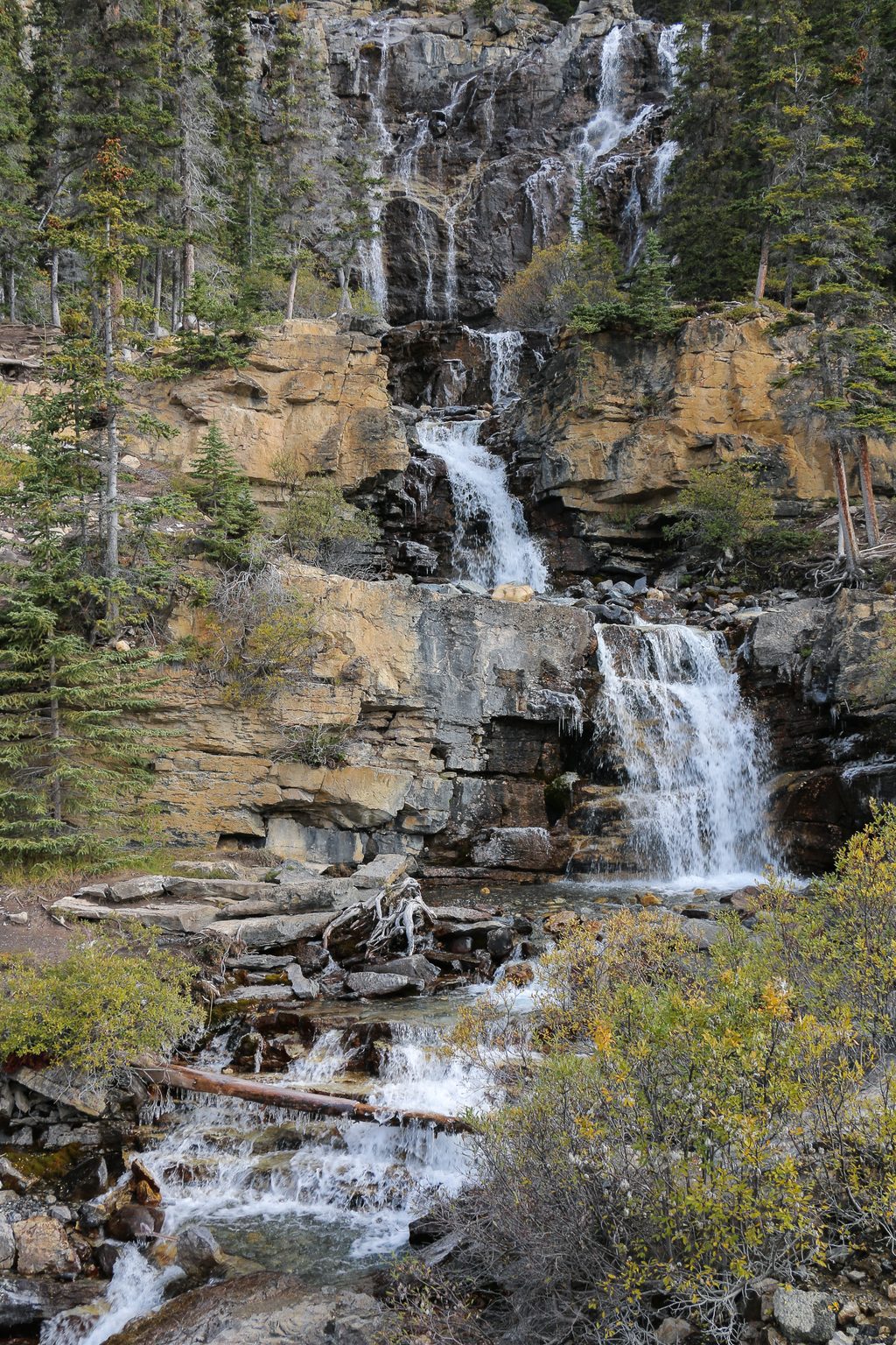 Tangle Falls, Jasper National Park