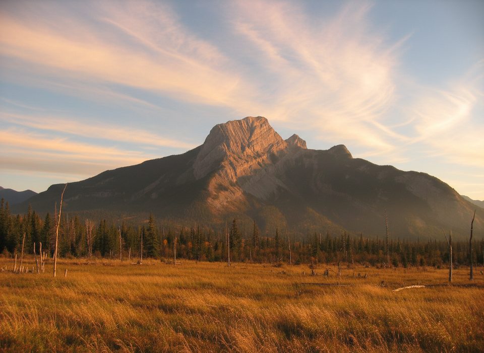 Roche à Perdrix, Jasper National Park