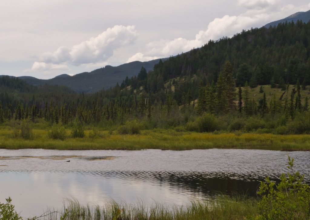 Patricia Lake, Jasper National Park