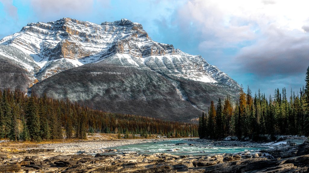 Goats and Glaciers Viewpoint, Jasper National Park