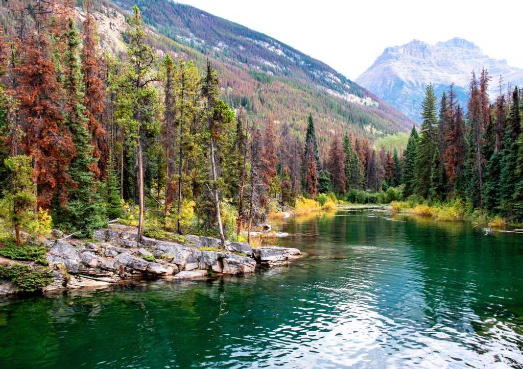 Horseshoe Lake, Jasper National Park