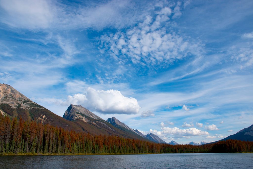 Endless Chain Ridge, Jasper National Park