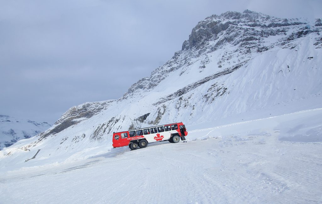 Columbia Icefield, Jasper National Park