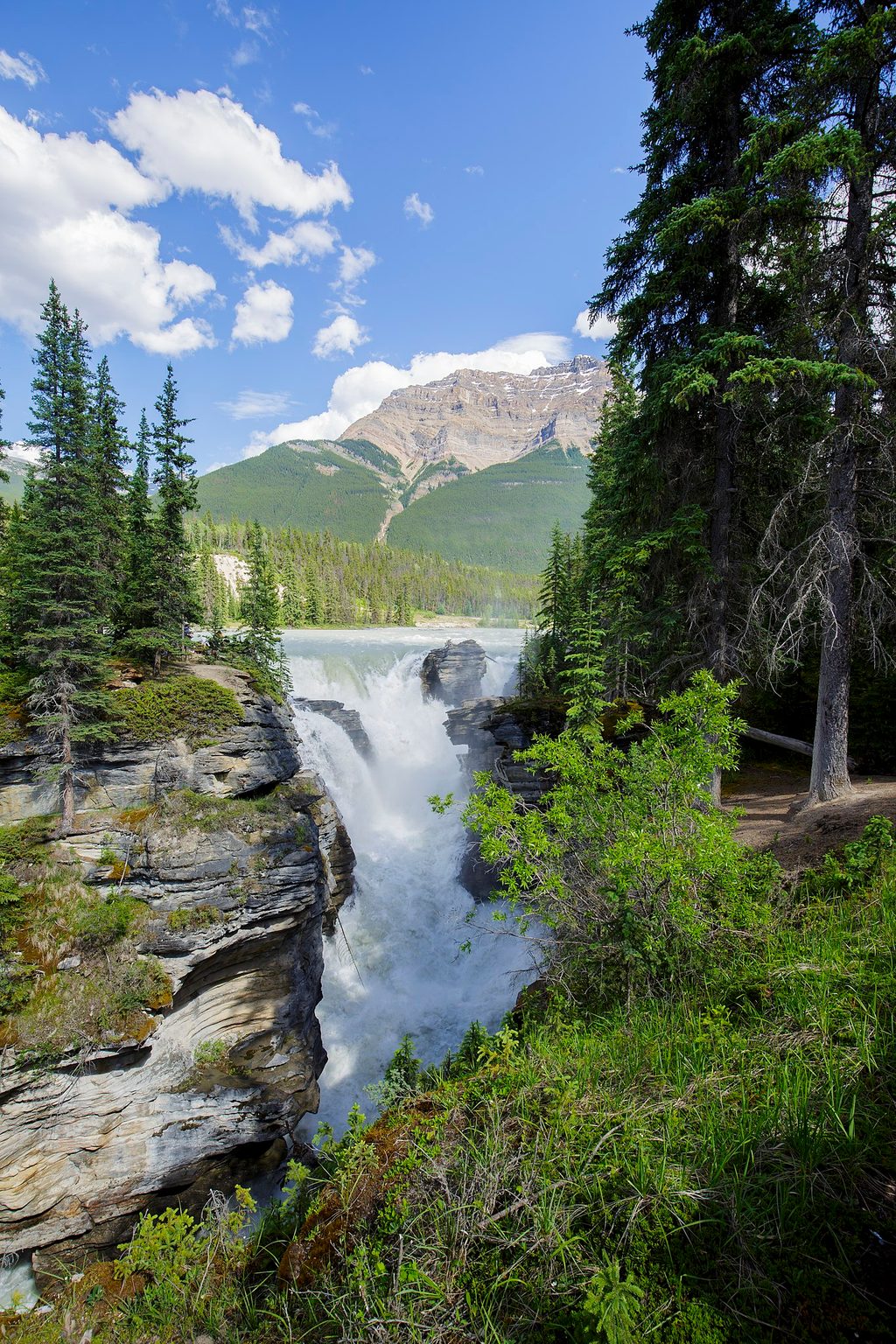 Athabasca Falls, Jasper National Park