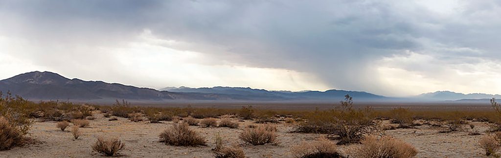 Pinto Basin view, Joshua Tree National Park