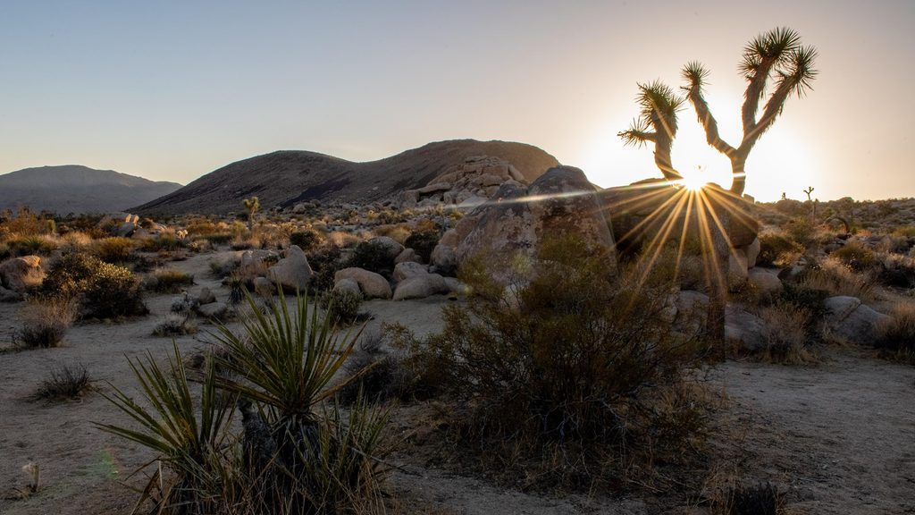 Malapai Hill viewpoint, Joshua Tree National Park