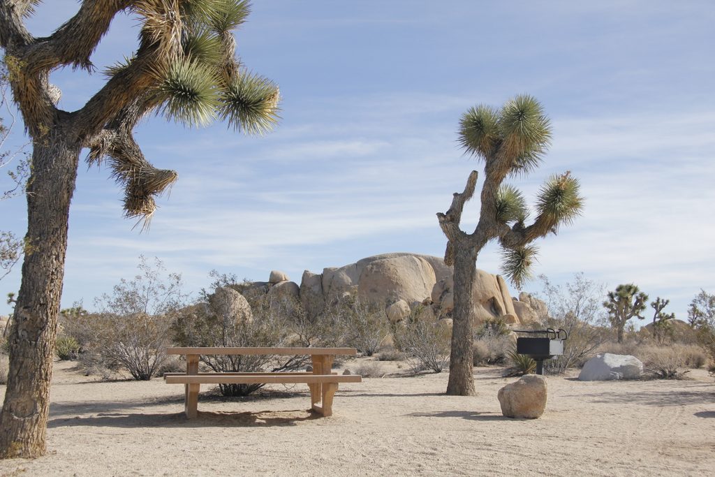 Belle Campground, Joshua Tree National Park