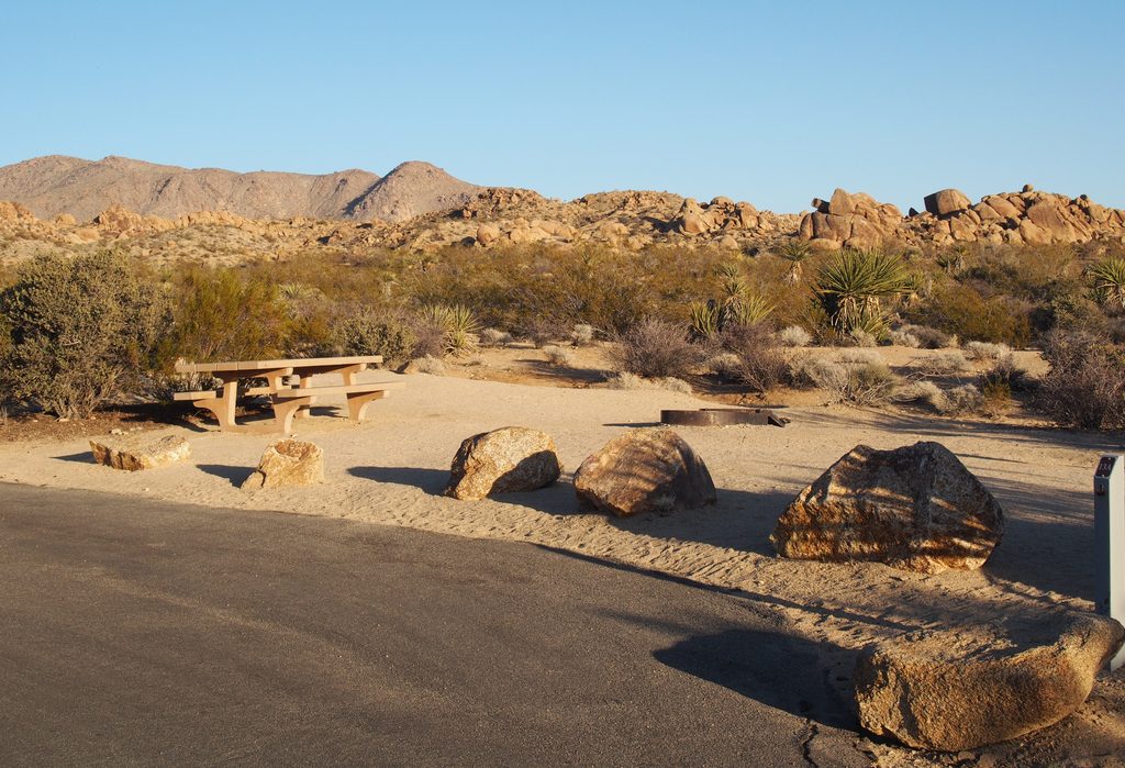 Cottonwood Campground, Joshua Tree National Park