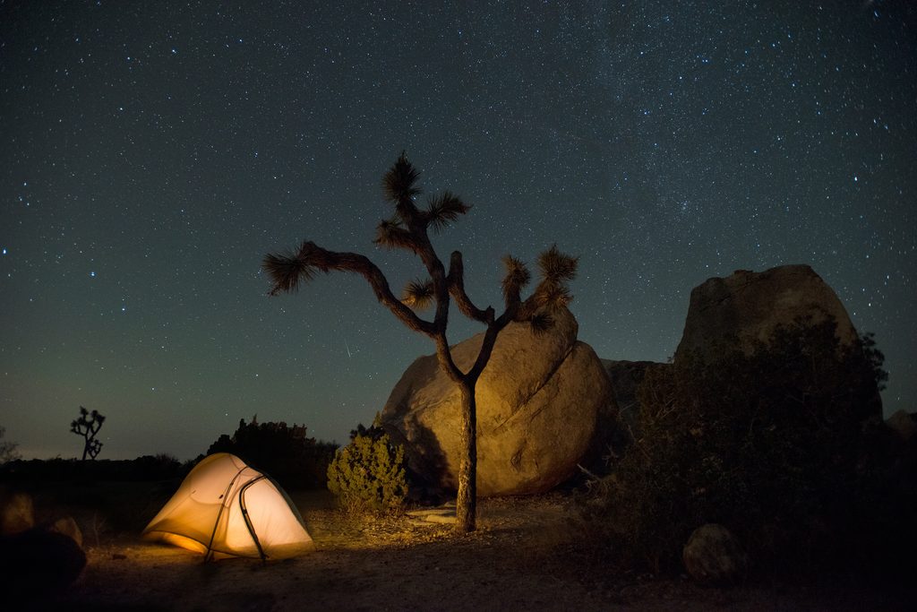 Ryan Campground, Joshua Tree National Park