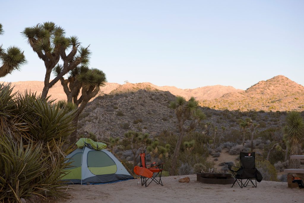 Black Rock Campground, Joshua Tree National Park