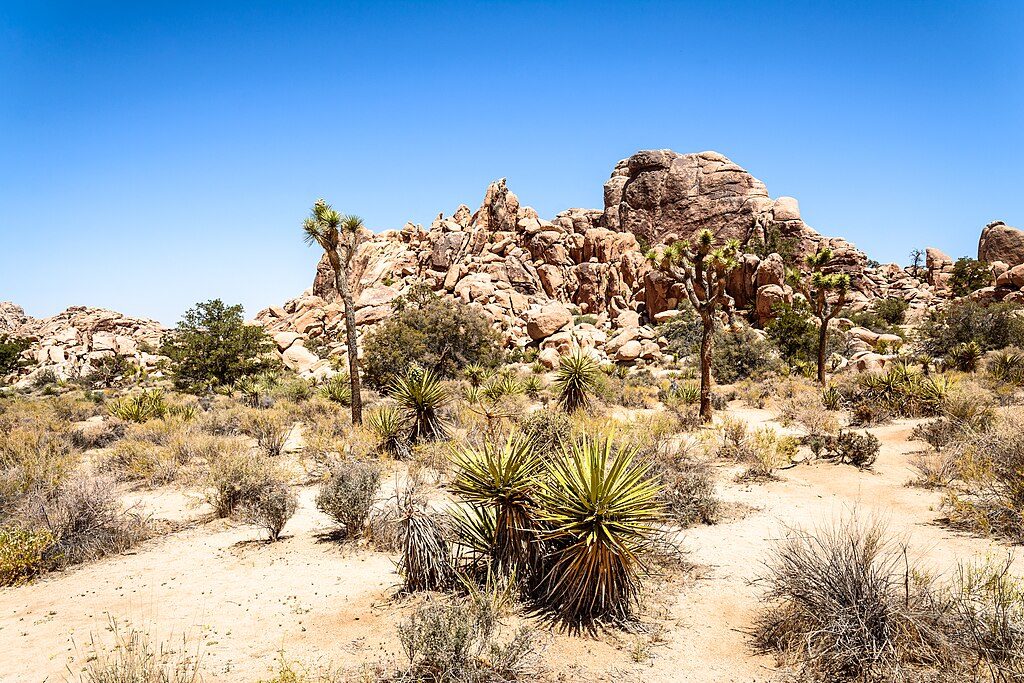 Hidden Valley, Joshua Tree National Park