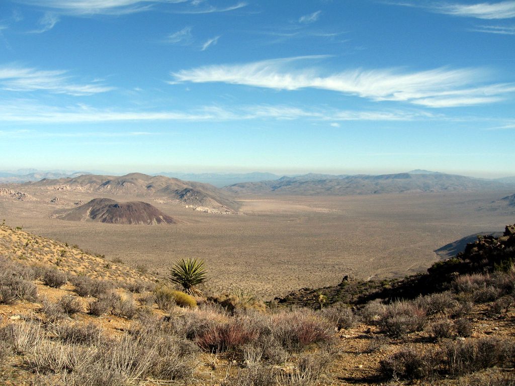 Lost Horse Valley Overlook, Joshua Tree National Park