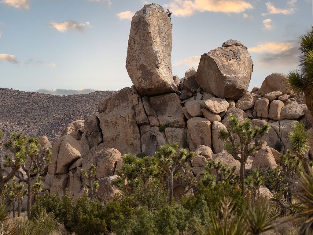 Headstone Rock, Joshua Tree National Park