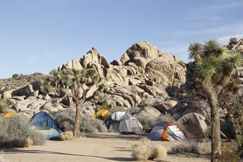 Sheep Pass Campground, Joshua Tree National Park