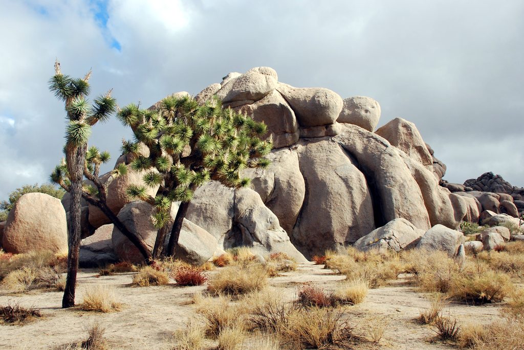 Real Hidden Valley, Joshua Tree National Park