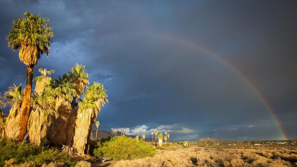 Joshua Tree Visitor Center (Oasis of Mara), Joshua Tree National Park