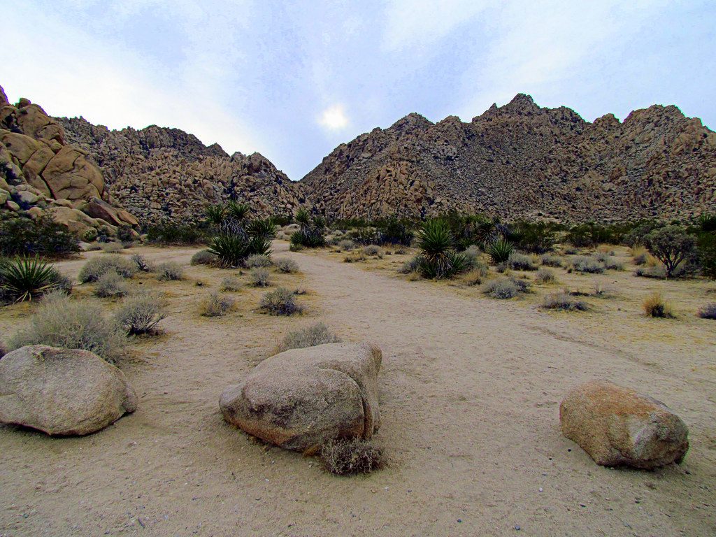 Indian Cove, Joshua Tree National Park