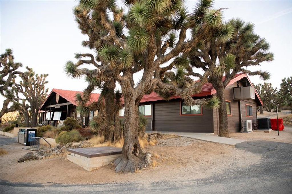 Black Rock Nature Center, Joshua Tree National Park