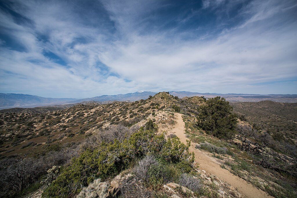 Warren Peak, Joshua Tree National Park