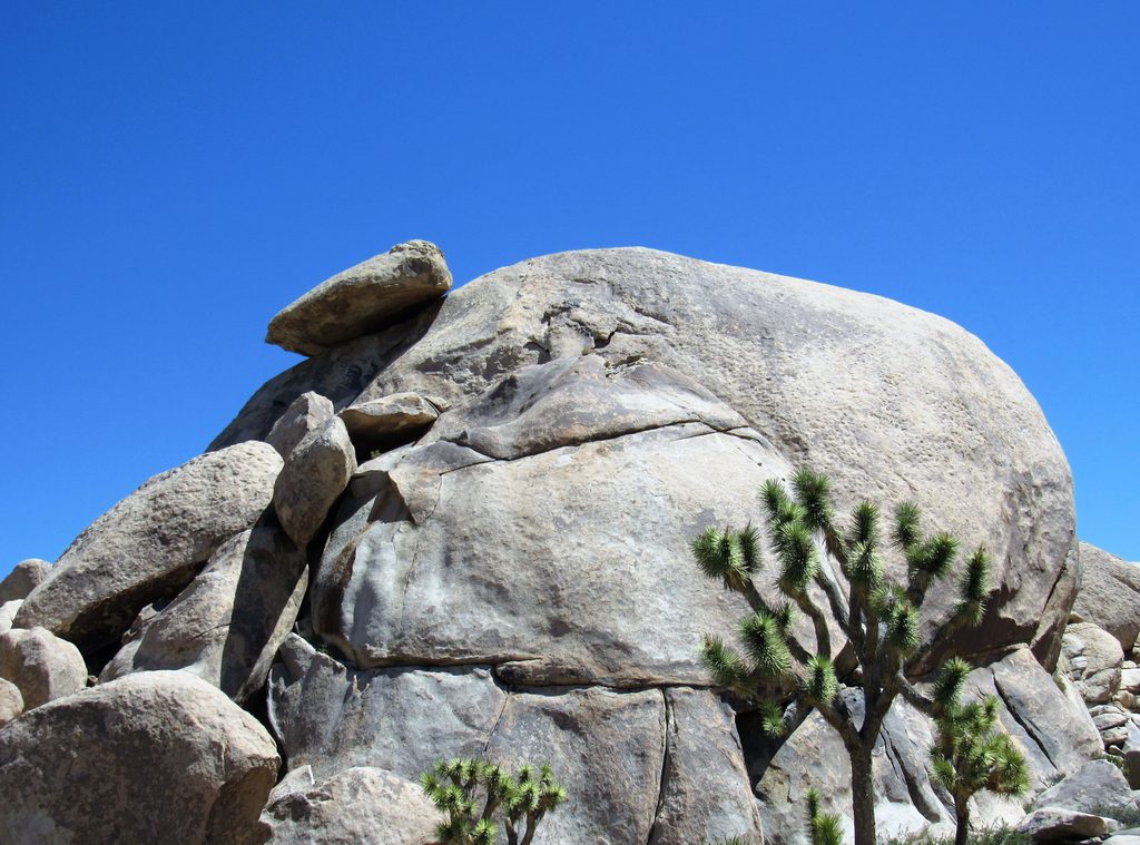 Cap Rock, Joshua Tree National Park