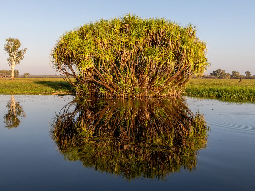 Yellow Water (Ngurrungurrudjba), Kakadu National Park
