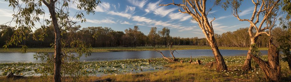 Sandy Billabong, Kakadu National Park