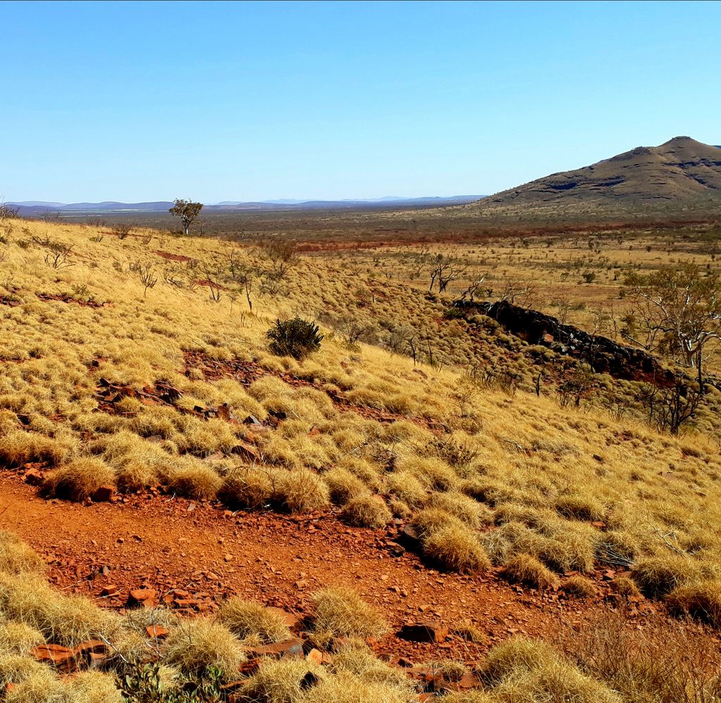 Mount Bruce (Punurrunha), Karijini National Park