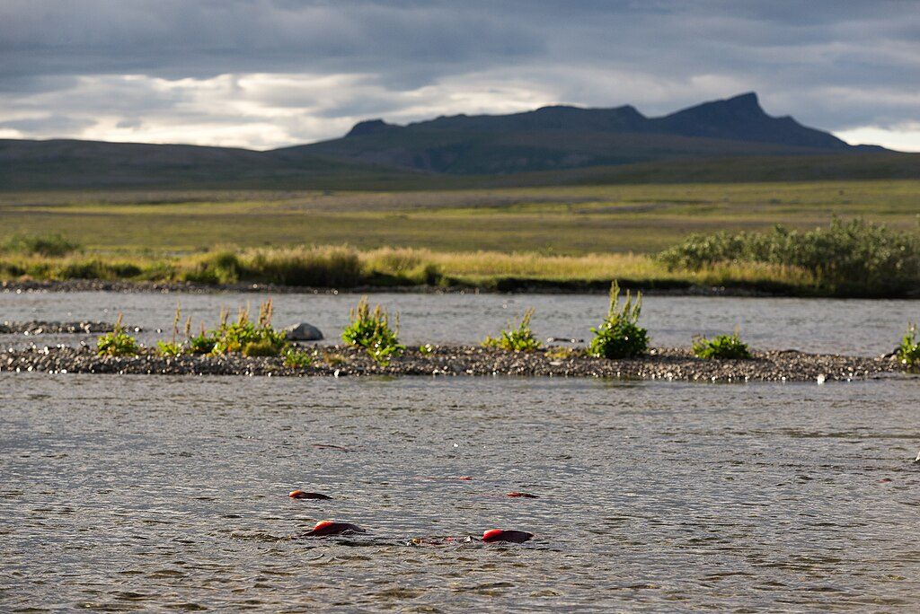 Funnel Creek, Katmai National Park