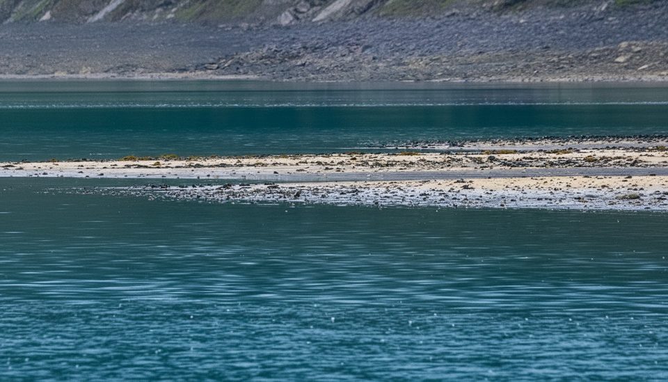 Kinak Bay, Katmai National Park