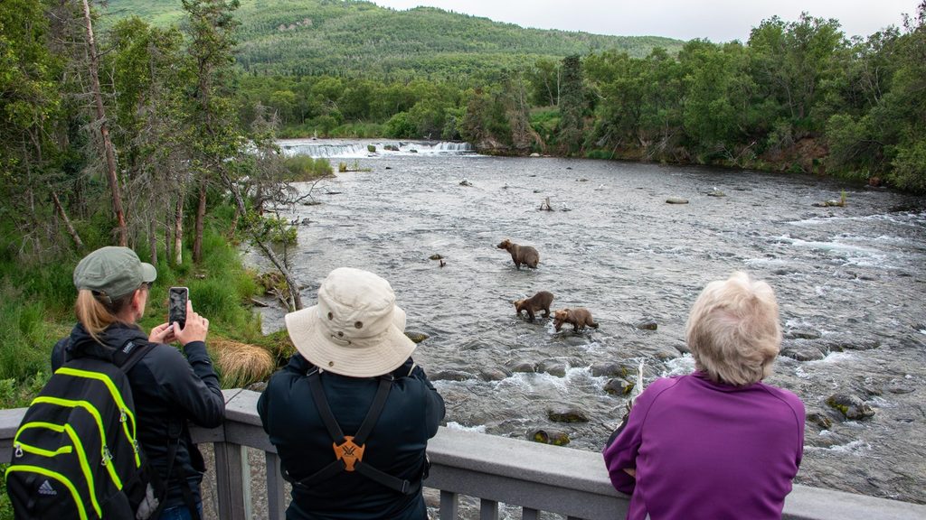 Riffles Platform, Katmai National Park
