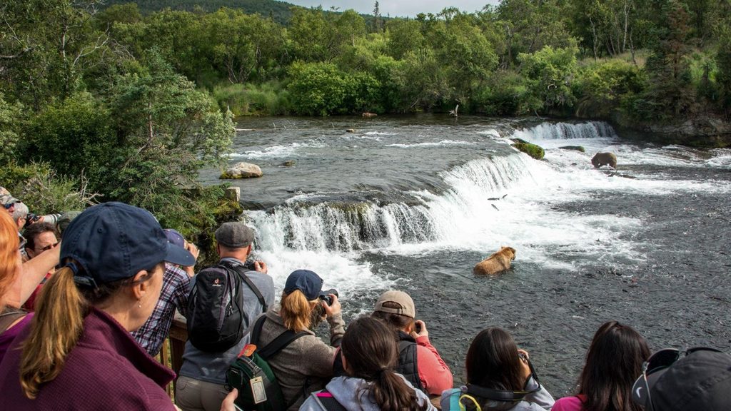 Falls Platform, Katmai National Park