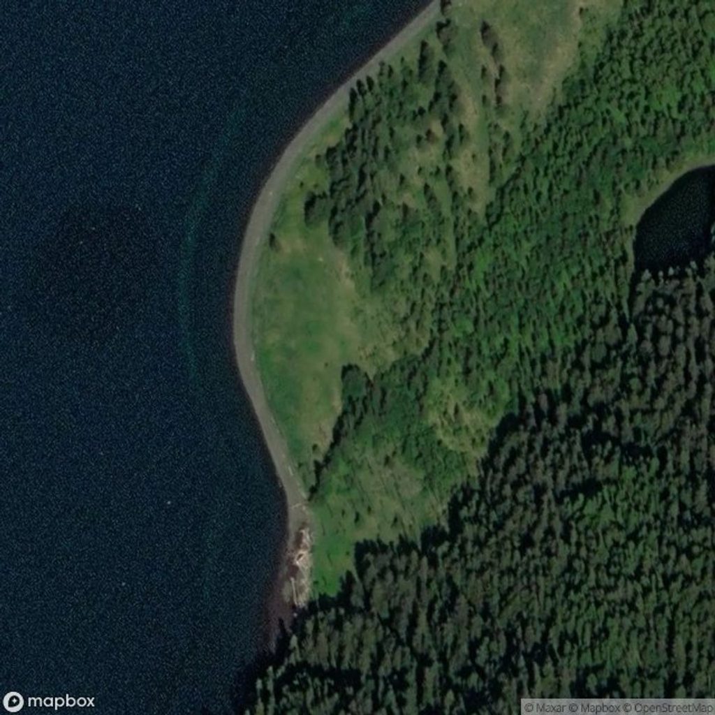 Verdant Cove, Kenai Fjords National Park