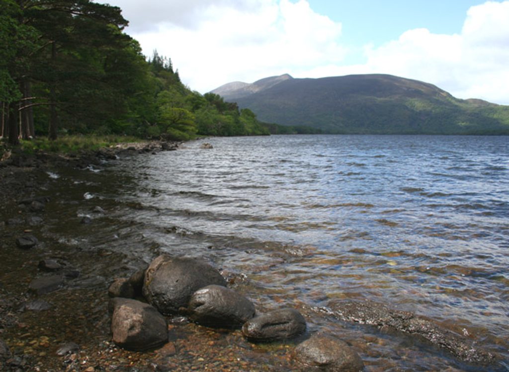 Muckross Lake, Killarney National Park
