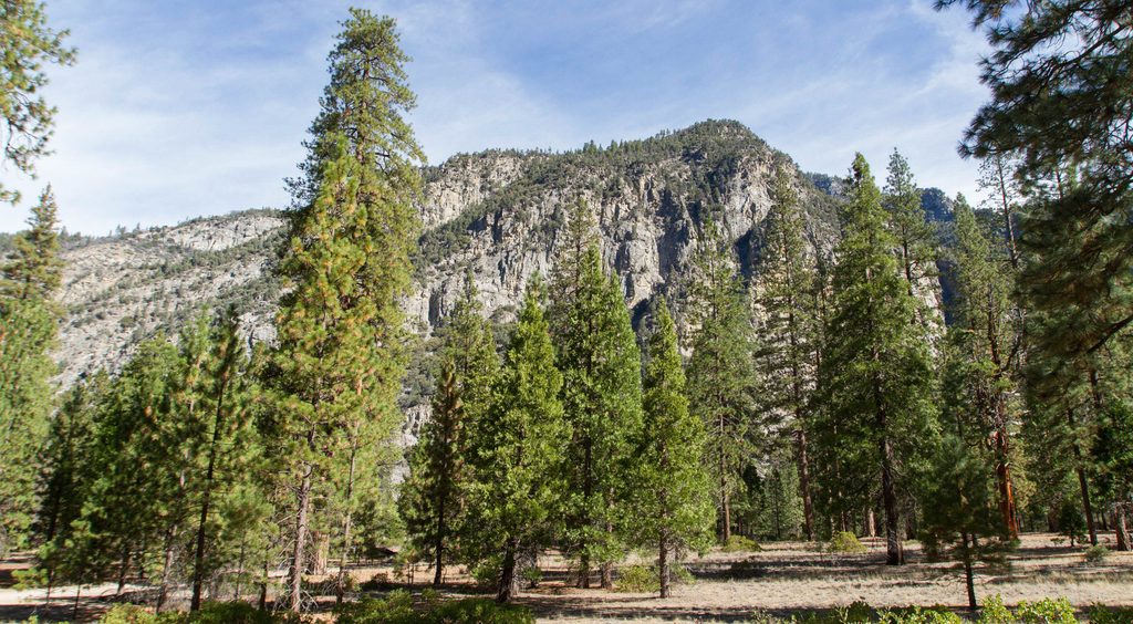 Moraine Campground, Kings Canyon National Park