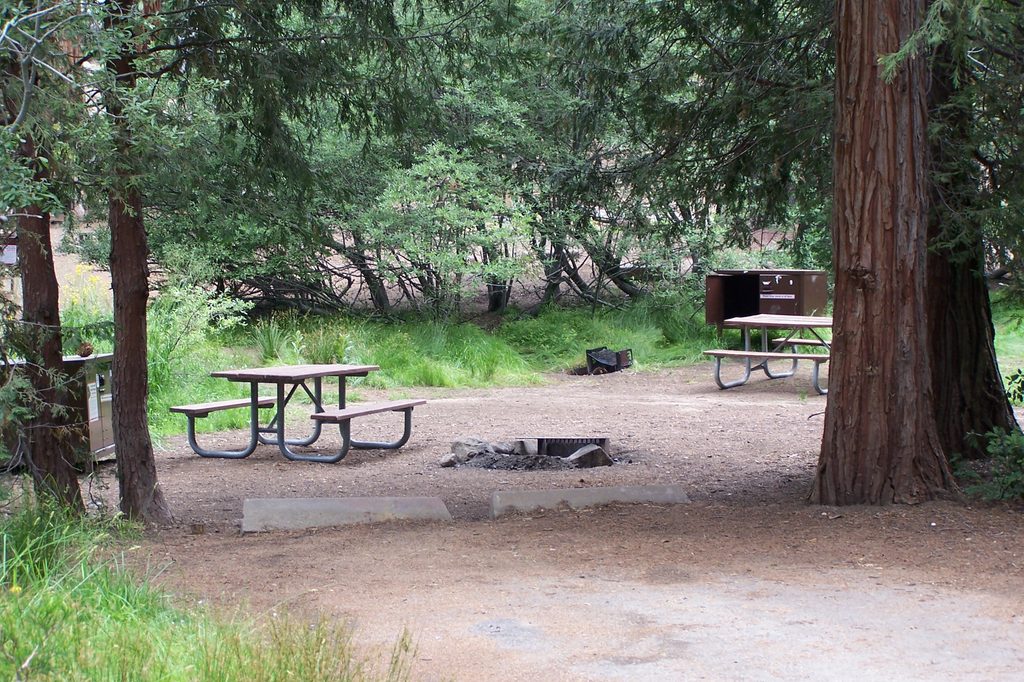 Azalea Campground, Kings Canyon National Park