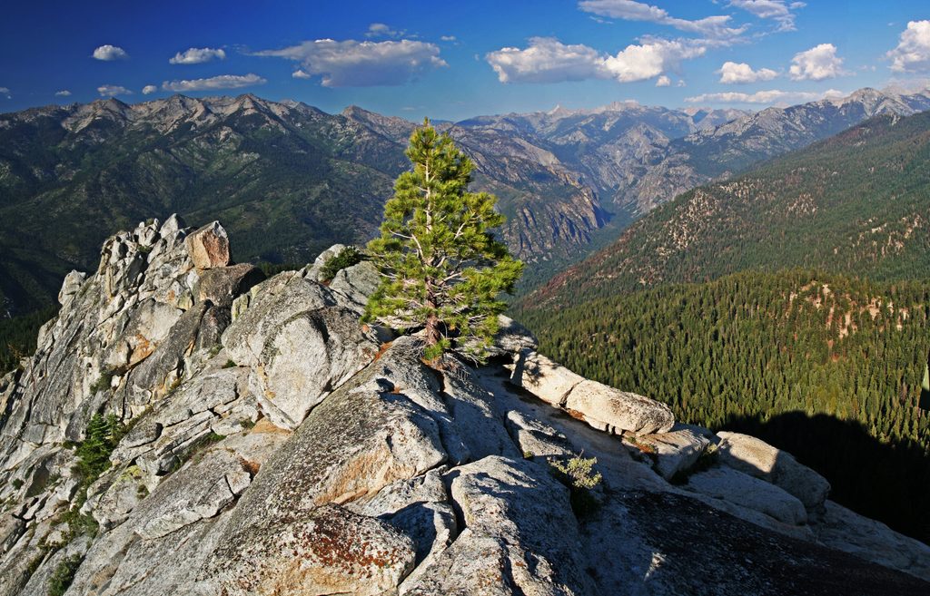 Lookout Peak, Kings Canyon National Park