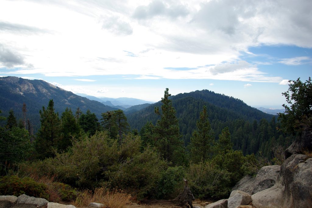 Redwood Mountain Grove, Kings Canyon National Park