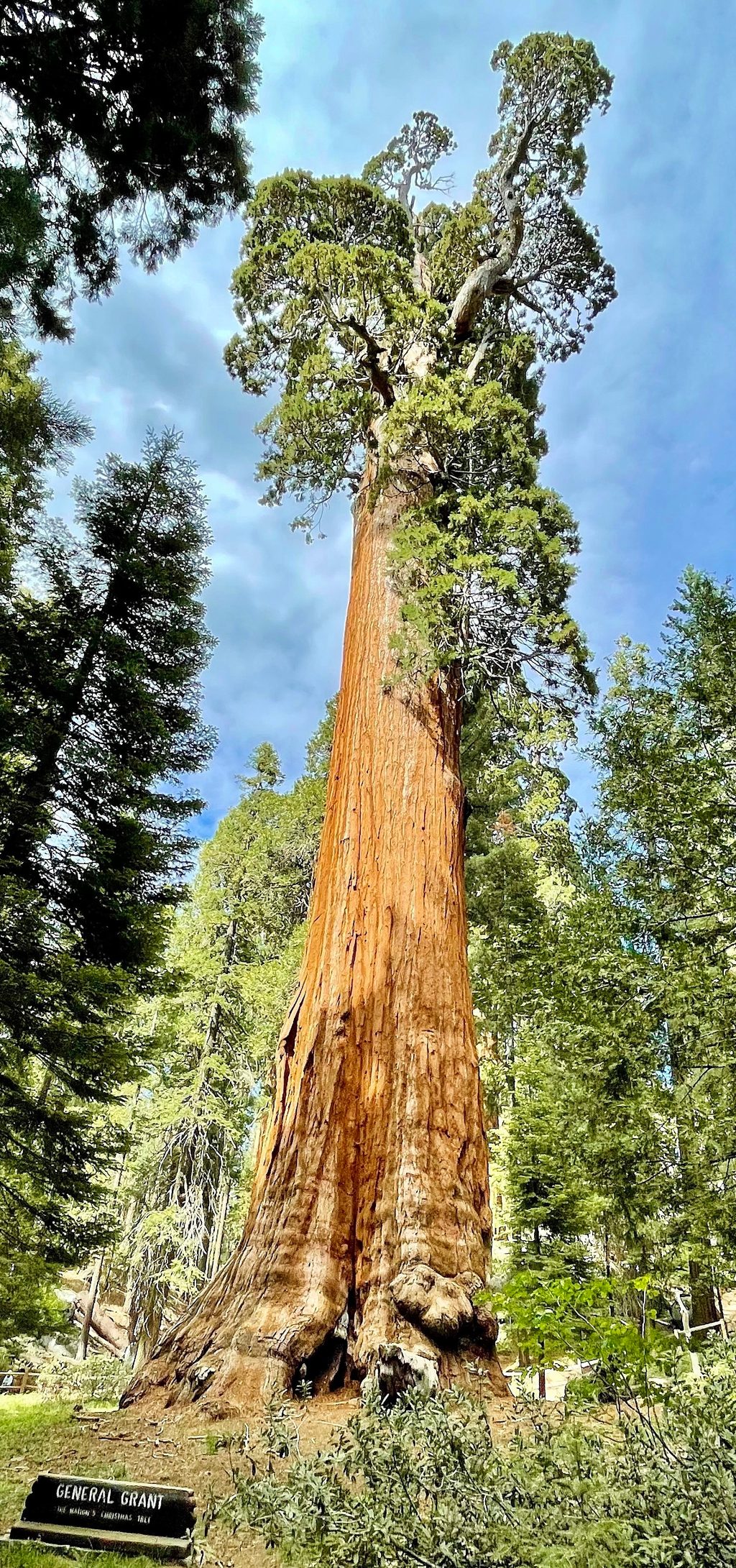 General Grant Tree, Kings Canyon National Park