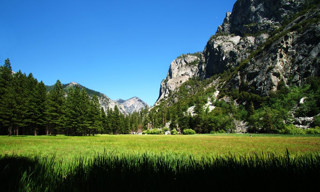 Zumwalt Meadow, Kings Canyon National Park