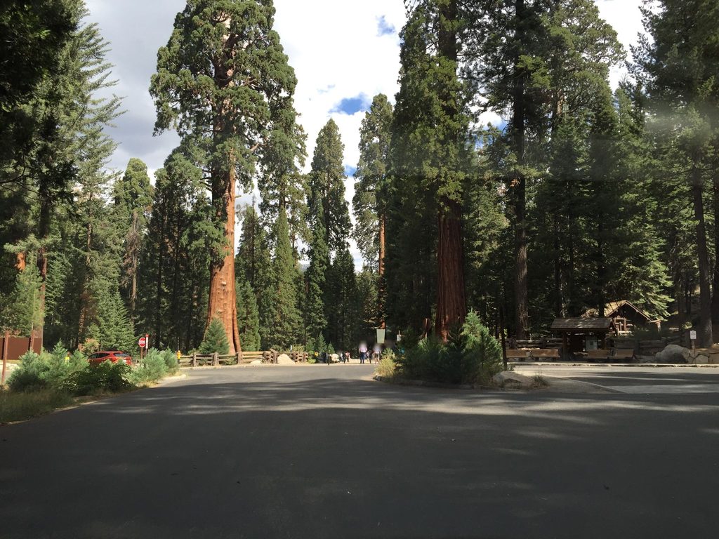 Giant Forest Museum, Kings Canyon National Park