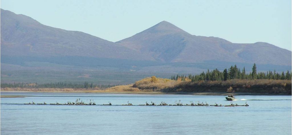 Onion Portage, Kobuk Valley National Park