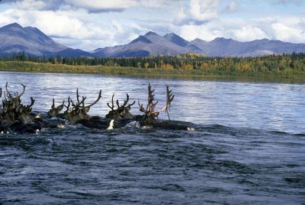 Kobuk River, Kobuk Valley National Park