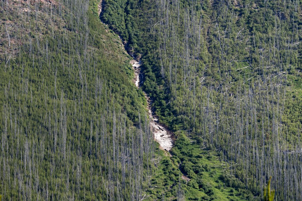 Stanley Peak, Kootenay National Park
