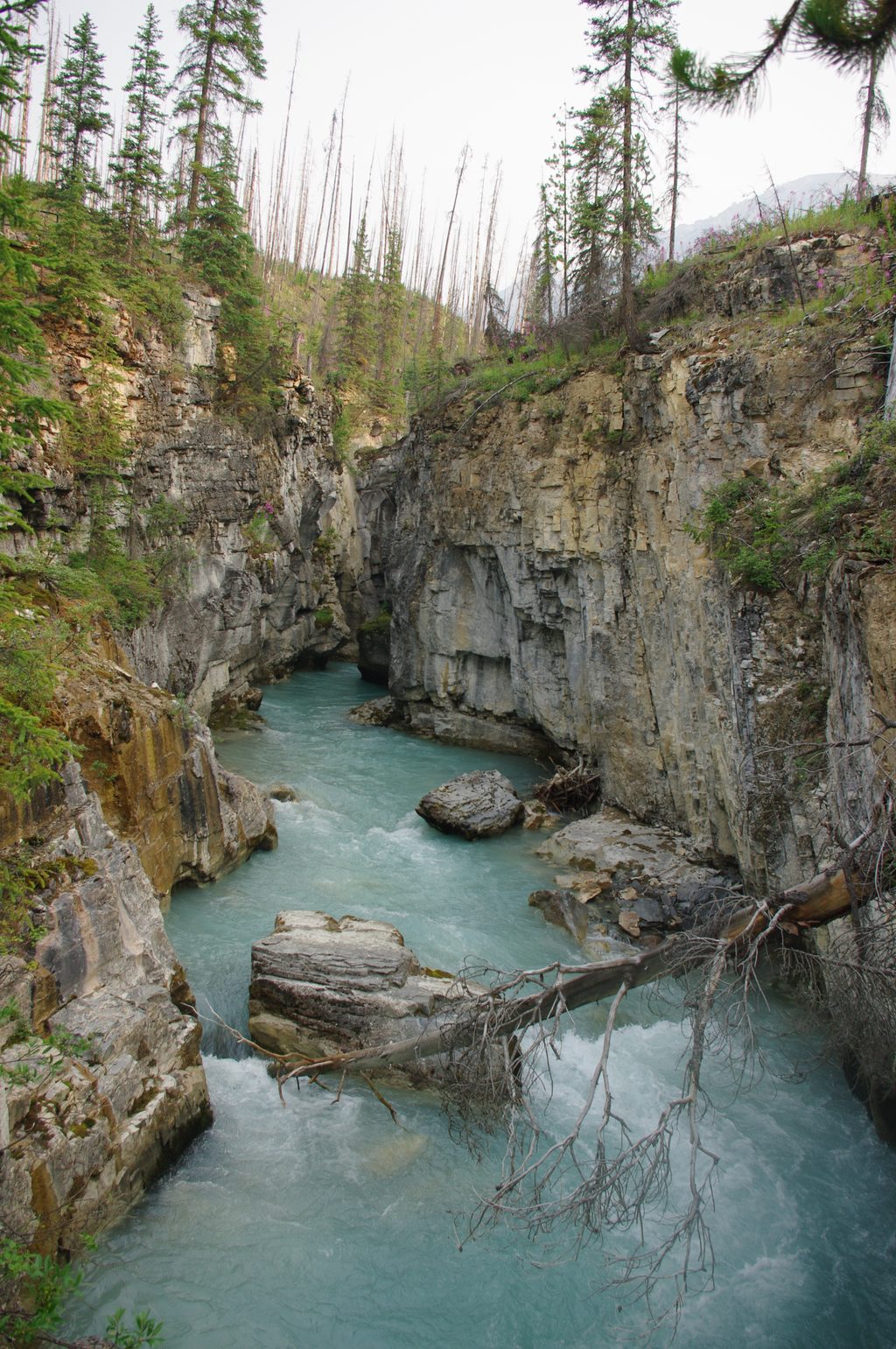 Marble Canyon, Kootenay National Park