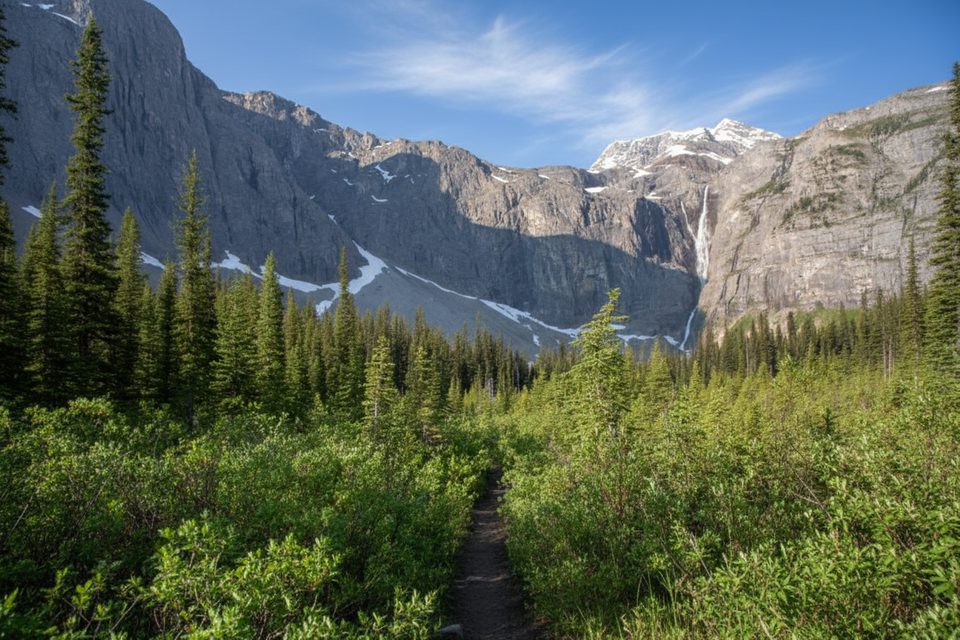 Tumbling Creek Backcountry Campground, Kootenay National Park