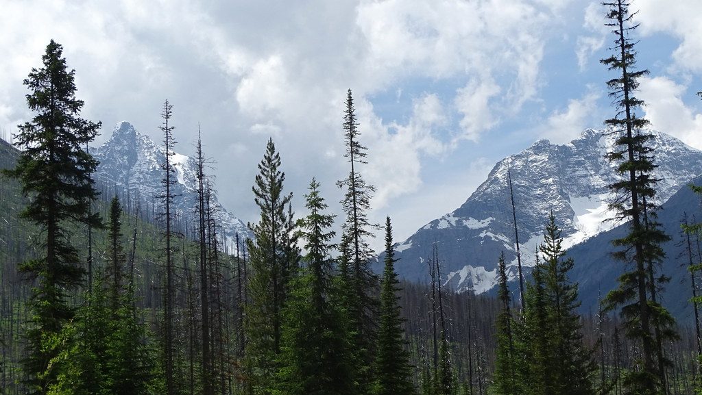 Vermilion Crossing, Kootenay National Park