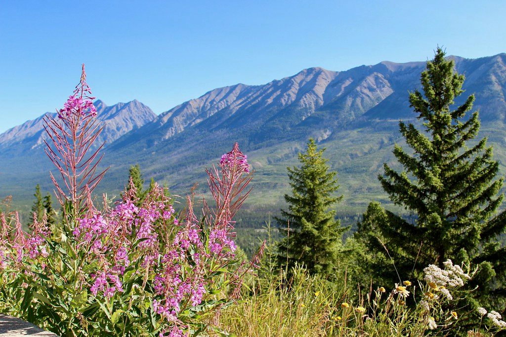 Kootenay Valley Viewpoint, Kootenay National Park