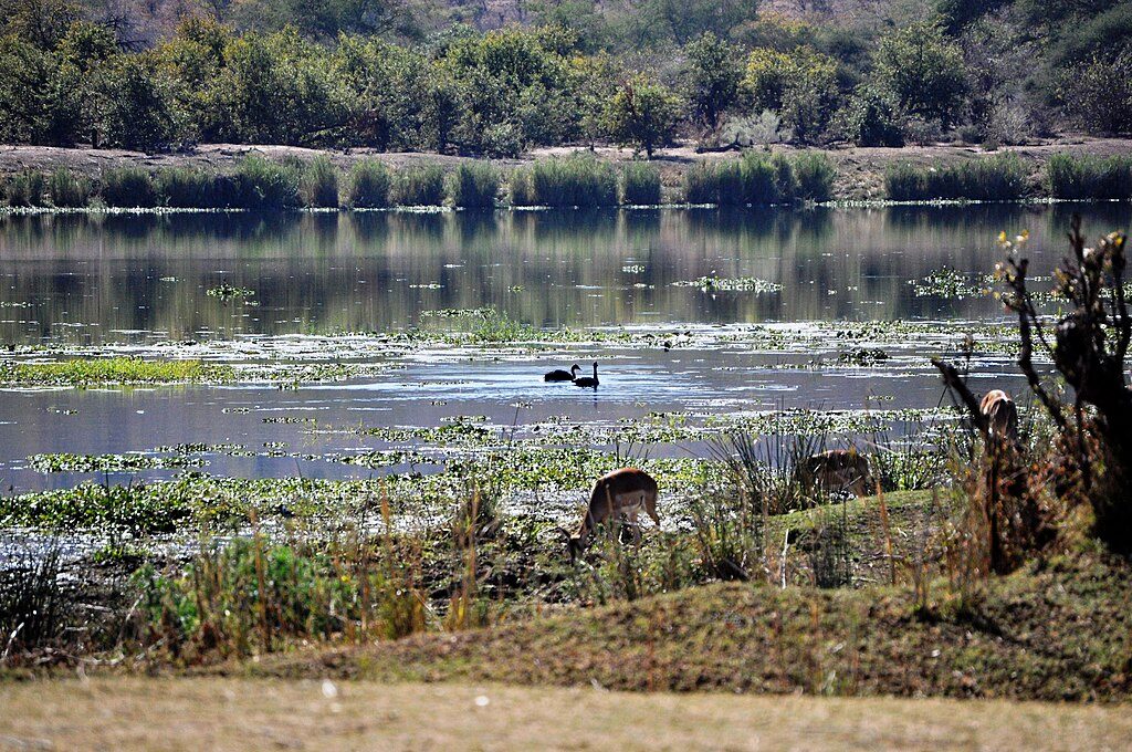 Engelhard Dam, Kruger National Park